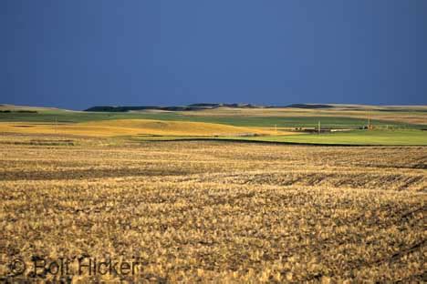 Landforms: What do the Interior Plains look like?