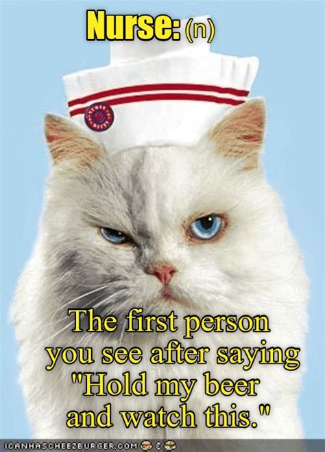 Daffynition: Nurse | Funny cat memes, Funny cats, Cat captions