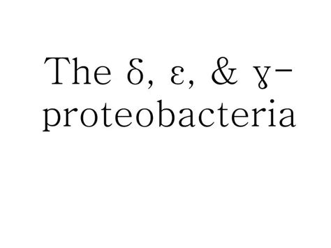 PPT - The δ, ε, & γ-proteobacteria PowerPoint Presentation, free download - ID:3730971