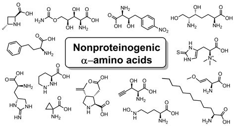 Biosynthesis of non-proteinogenic α-amino acids – Biosynthetic Enzymes ...