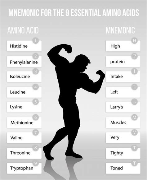 Mnemonic to Remember the Essential Amino Acids - Food Science Toolbox