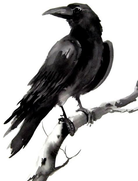 Watercolor Bird, Original Watercolor Painting, Original Watercolors, Painting & Drawing, Crow ...