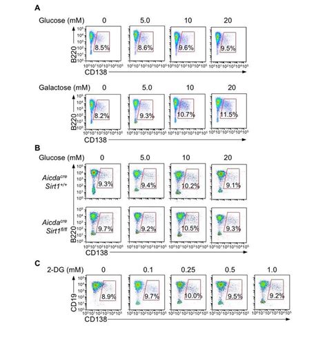 Fig. S8. Plasma cell differentiation is not significantly altered by... | Download Scientific ...