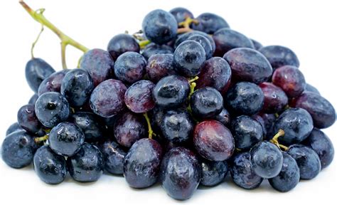 Black Seedless Grapes Information, Recipes and Facts