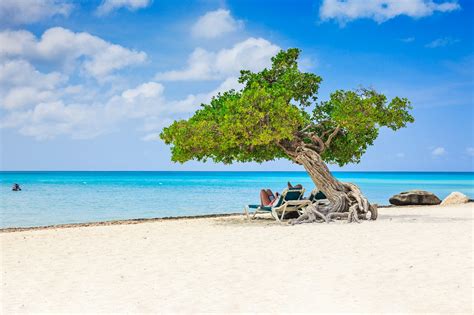 10 Best Beaches in Aruba - What Is the Most Popular Beach in Aruba ...