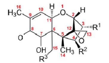 Chemical structure of Type B trichothecenes. TCTB, Type B ...