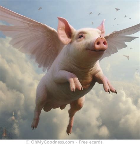 When pigs fly - meme | meme generator