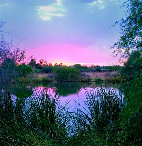 Riparian Preserve at Water Ranch - Parks - Gilbert, AZ - Reviews - Photos - Yelp