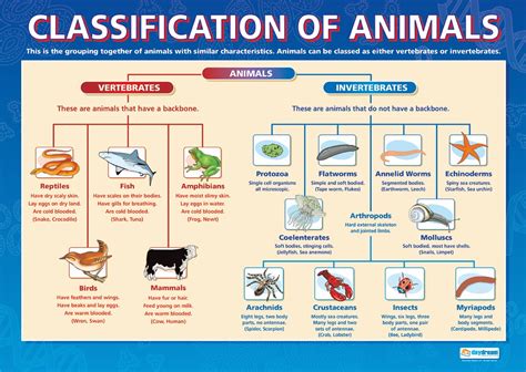 Science Grade 3 Animals