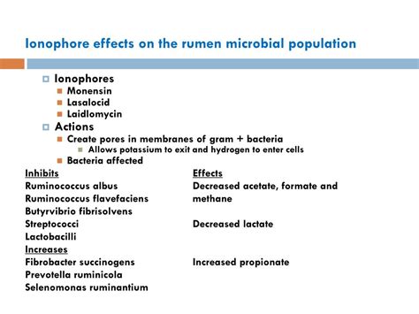 PPT - Rumen microbes PowerPoint Presentation, free download - ID:2316244