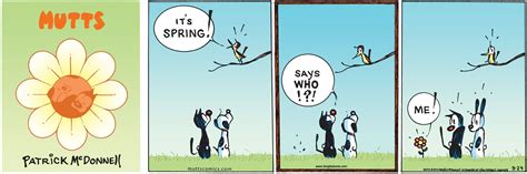 MUTTS on Twitter in 2021 | Mutts comics, Mutt, Comics