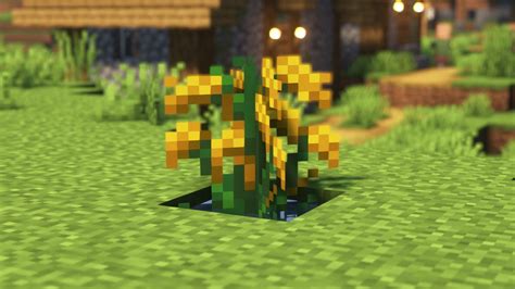 Farmer's Delight: Finding & Growing Rice - Minecraft Guides Wiki