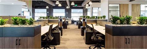 Indoor Air Quality: Plants in The Office Increase Productivity