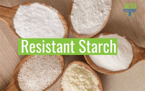 Resistant Starch: Health Benefits and the Mechanisms behind it - Jeb Foods