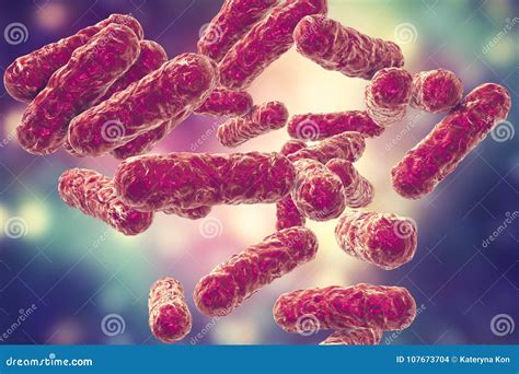 Bartonella Henselae Bacteria, the Causative Agent of Cat-scratch Disease Stock Illustration ...