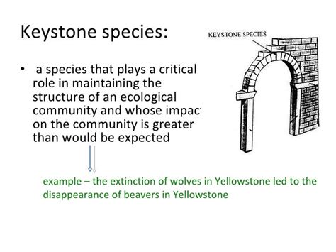 Keystone Species