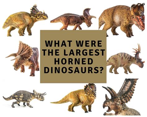 What Were The Largest Horned Dinosaurs? - Dinosaur Facts For Kids