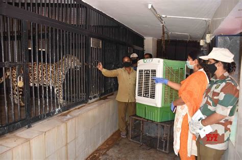 Hyderabad: Coolers installed outside enclosures of animals at Nehru ...