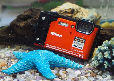 Facts About Underwater Cameras at Valerie Hall blog