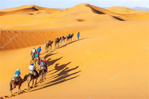 Camel caravan going through the sand dunes in the Sahara Desert Stock ...