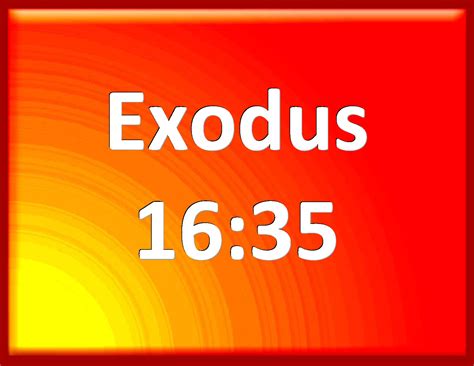 Exodus 16:35 And the children of Israel did eat manna forty years ...