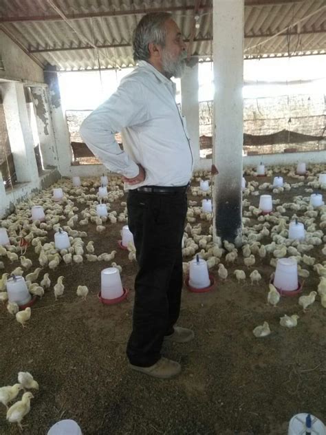 TIPS FOR BECOMING SUCCESSFUL POULTRY FARMER | Pashudhan praharee