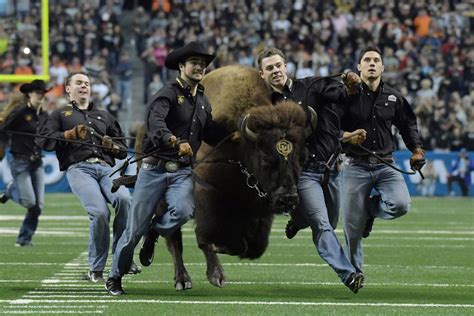 Colorado Buffaloes Signing Day: Offense recruits to watch - The Ralphie ...