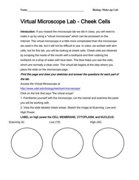 Virtual Microscope Lab - Cheek Cells