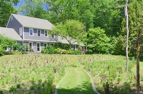 Converting Lawn Into Meadow | Regenerative Landscapes | joegardener®