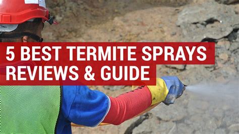 5 Best Termite Killer Spray Reviews | How To Apply Termite Spray