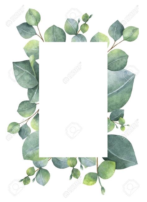 Watercolor Eucalyptus Leaves at PaintingValley.com | Explore collection ...