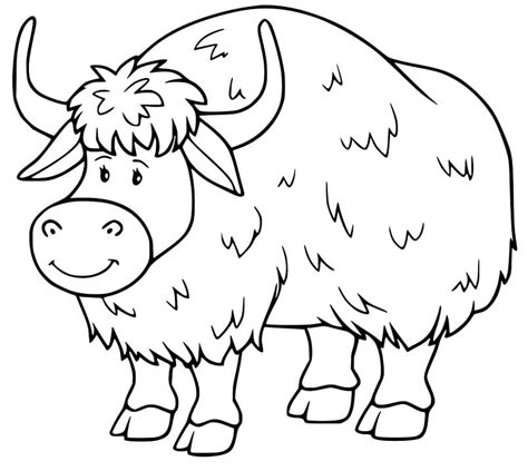 Yak Colouring Pages