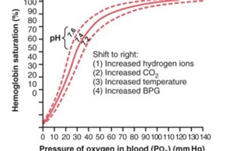 Oxygen hemoglobin dissociation curve - All medical stuff