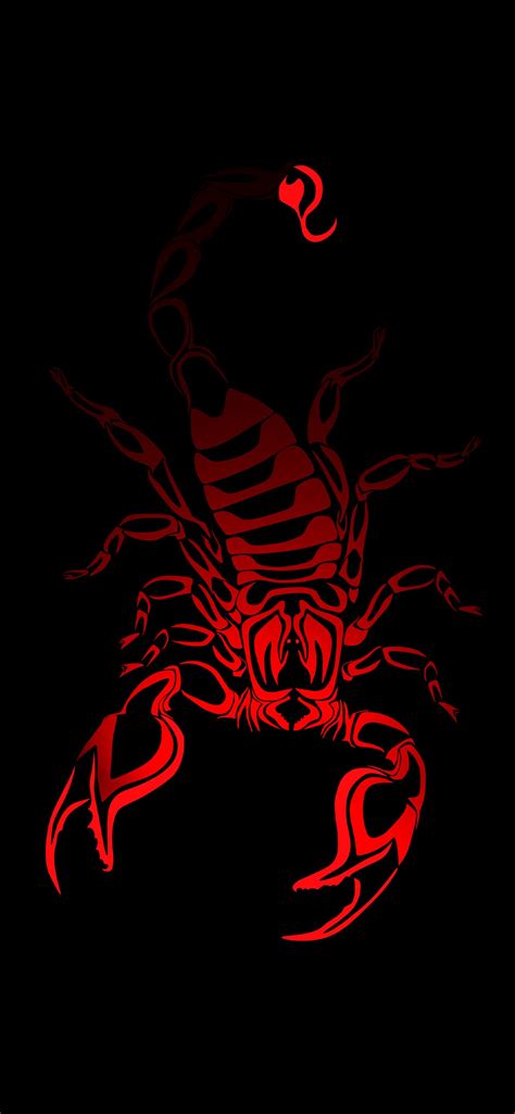 Scorpion Images Wallpaper