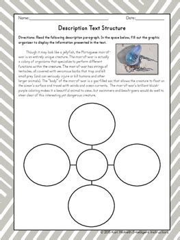 Description Text Structure: Graphic Organizer Worksheets | TpT