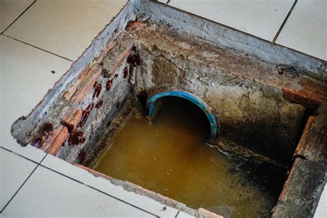 What Happens if a Grease Trap Isn't Cleaned? | Southern Green Inc