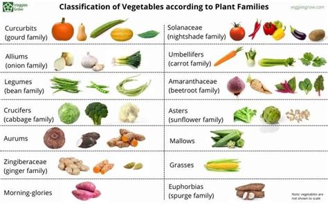 Classification of Vegetables by Plant Families