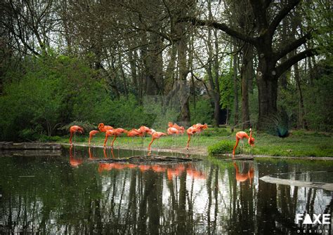 Zoo Krefeld by Palaceworks on DeviantArt