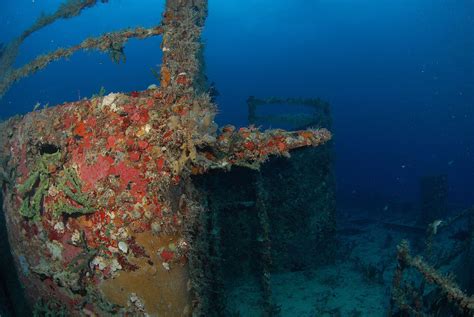 Key Largo snorkeling and diving - wrecks and reefs - The Spiegel Grove ...