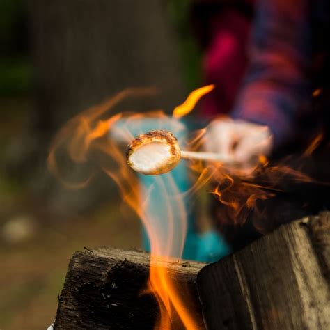 Backpacking Stove Fuel Types: A Comprehensive Guide to Making the Right ...