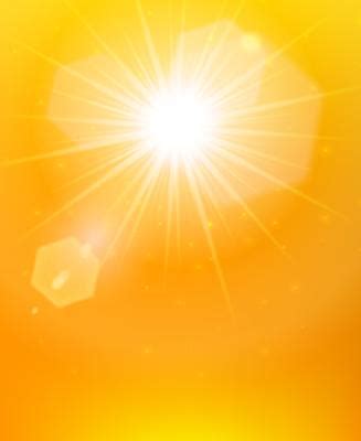 Sunshine Background Vector Art, Icons, and Graphics for Free Download