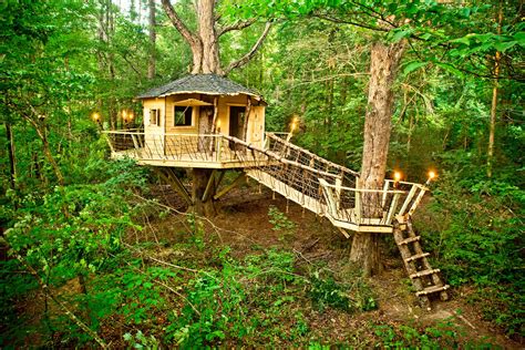 Amazing Treehouses From Around the World - This Old House