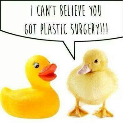 I can't believe you got plastic surgery | Funny pictures, Nerd jokes ...