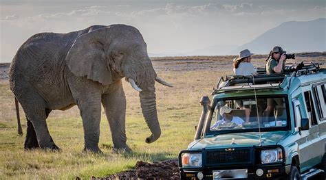 Wildlife Game Drives in Uganda | Uganda Safari Activities