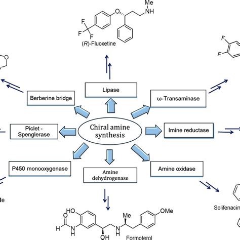 Enzymatic synthesis of chiral amines and important pharmaceuticals... | Download Scientific Diagram