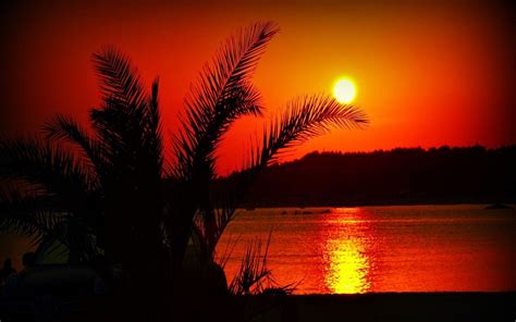 🔥 [70+] Summer Sunset Wallpapers | WallpaperSafari