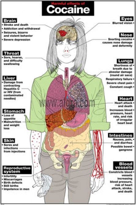 Just In Time Treatment: Harmful Effects Of Cocaine