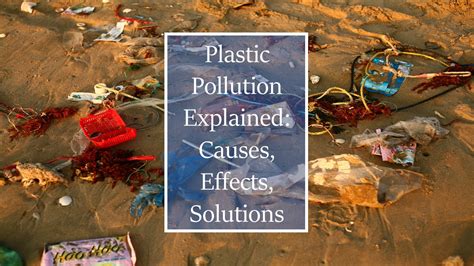 Plastic Pollution Explained: Causes, Effects, Solutions - Yo Nature