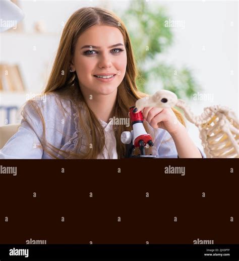 The student examining animal skeleton in classroom Stock Photo - Alamy