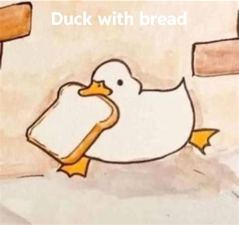 duck with bread : antimeme